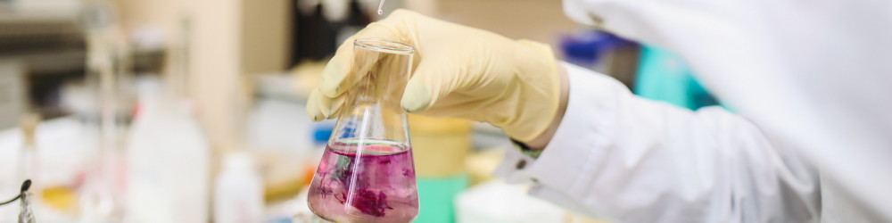 Untitled design (31)